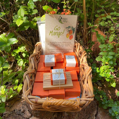 Go Mango! Soap now available year round 🥭