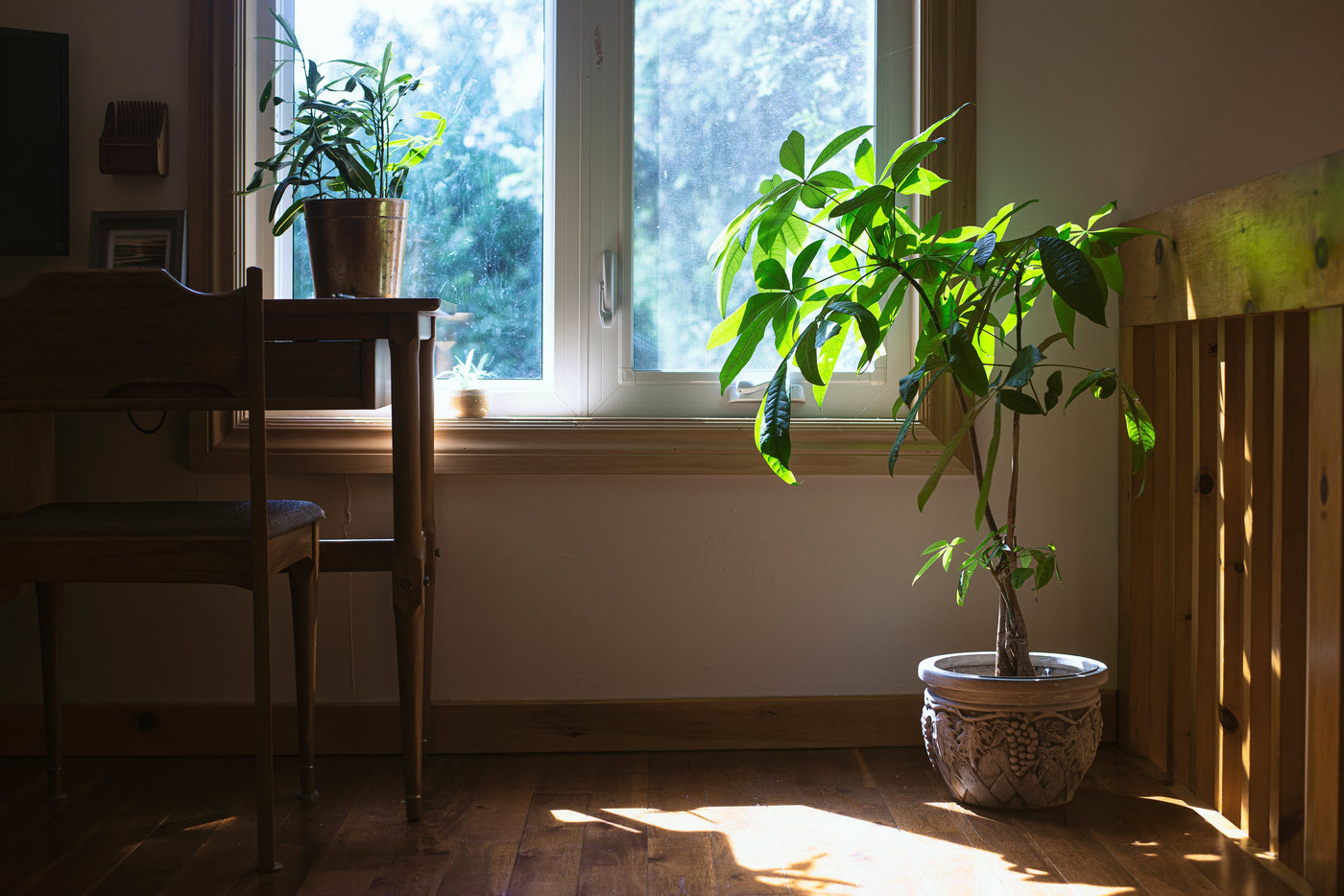 Around The Home