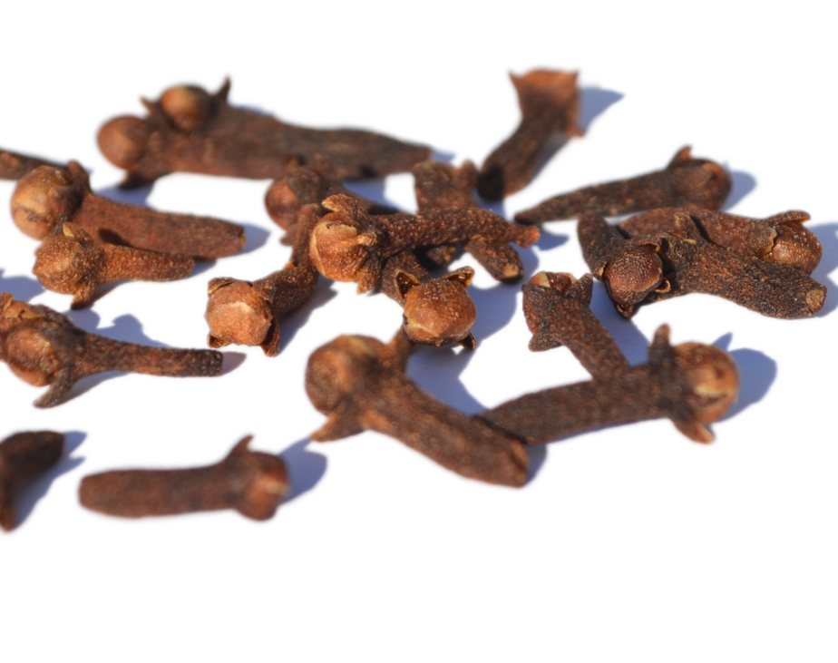 Clove Bud – Hidden Valley Broome